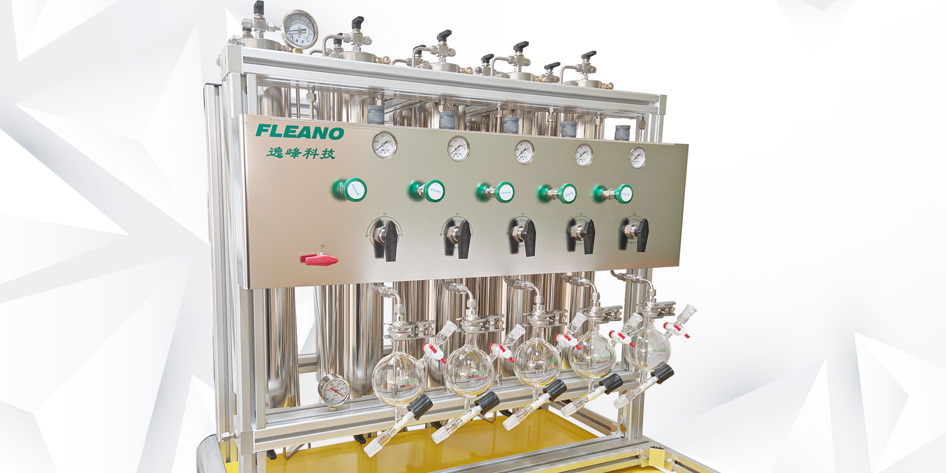 五路标准型快速溶剂纯化系统