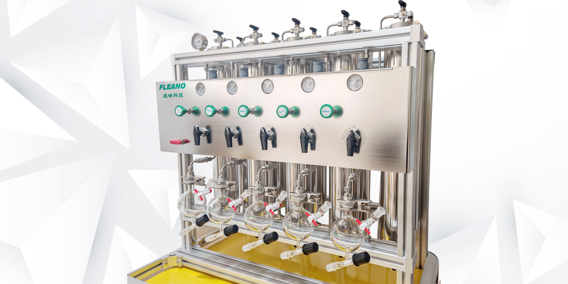 五路标准型快速溶剂纯化系统